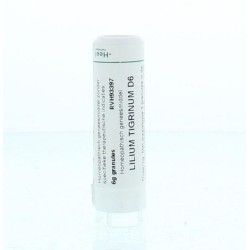 Rhus toxicodendron 20MKArtikel 4 enkelvoudig8717473065314