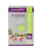 Berberine platinumOverig gezondheidsproducten5412339103683