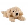 Golden retrieverOverig baby/peuter4260394917308