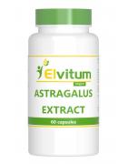 Astragalus extract 500mgOverig gezondheidsproducten8718421582426