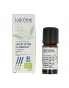 Eucalyptus globulus olie bioEtherische oliën/aromatherapie3486330017906