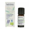 Eucalyptus globulus olie bioEtherische oliën/aromatherapie3486330017906