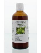 Ginkgo biloba folia tinctuurFytotherapie8713589058059