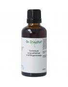 Epilobium angustifolium / wilgenroosje tinctuurFytotherapie8713589057489