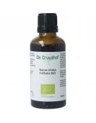 Salvia tribola fol / salie tinctuur bioFytotherapie8713589060465