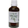 Sambucus nigra / vlierbloesem tinctuur bioFytotherapie8713589060519