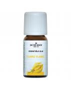 Ylang ylang olieEtherische oliën/aromatherapie8712053750741