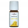 Ylang ylang olieEtherische oliën/aromatherapie8712053750741