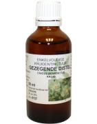 Cnicus benedictus / gezegende distel tinctuur bioFytotherapie8713589056802