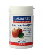 Glucosamine QVCMineralen enkel5055148413842