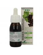 Ribes nigrum XXI extractOverig gezondheidsproducten8422947284756