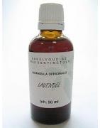 Lavandula officinalis flor tinctuur bioFytotherapie8713589058998