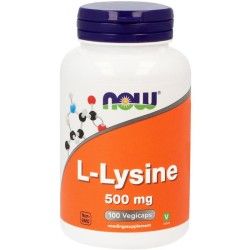 Lyso 600 L-LysineAminozuren5413134000061