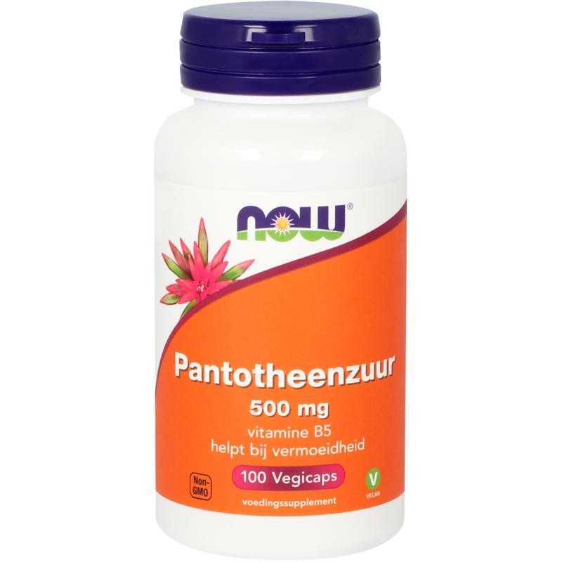 Pantotheenzuur 500mg (B5)Vitamine enkel733739102737