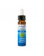 Rock rose/zonneroosje 18 bioFytotherapie30037755