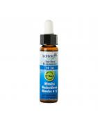 Mimulus/maskerbloem 26 bioFytotherapie30037830