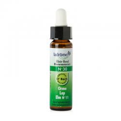 Echinacea extraFytotherapie8713549022724