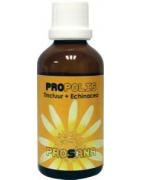 Propolis tinctuur + echin vh Garganta 43 keel plusOverig gezondheidsproducten8716066400037