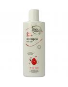 Hair repair shampooShampoo8710267110542