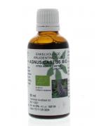 Vitex agnus castus fruct tinctuur bioFytotherapie8713589055645