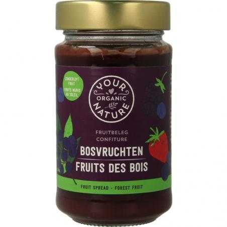 Fruit beleg bosvruchten bioNieuw standaard8711521917761