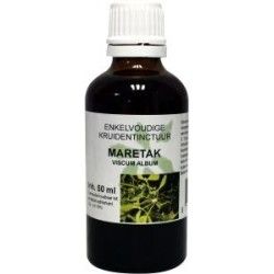 Echinacea purpurea phytoFytotherapie8717473032644