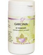 GarciniaAyurveda8714226002503