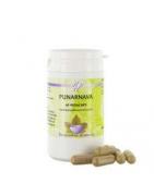 PunarnavaAyurveda8714226181147