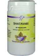 ShatavariAyurveda8714226181161