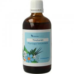 Echina pure weerstandsdruppelsOverig gezondheidsproducten8715848100219