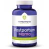 Postpartum mamaNieuw standaard8717438692616