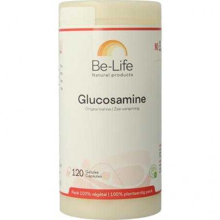 GlucosamineNieuw standaard5413134804775