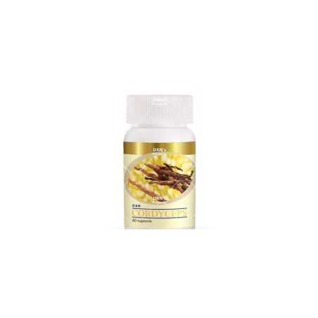 DXN Cordyceps capsules 60DXN