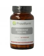 Berberine 500mg RebersaOverig gezondheidsproducten8717677127917