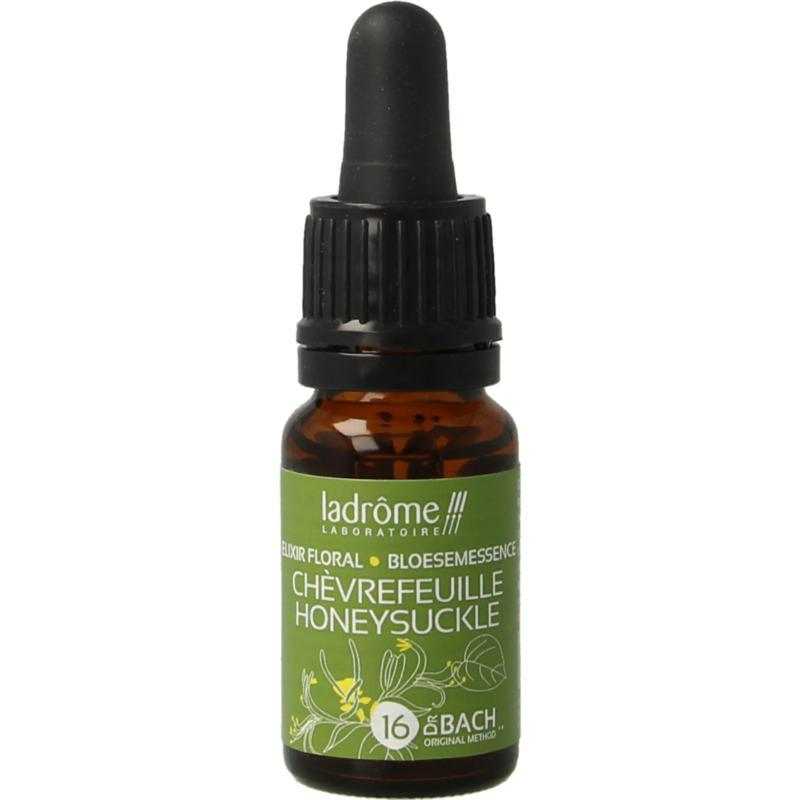 Honeysuckle/kamperfoelie bioFytotherapie3486330010228