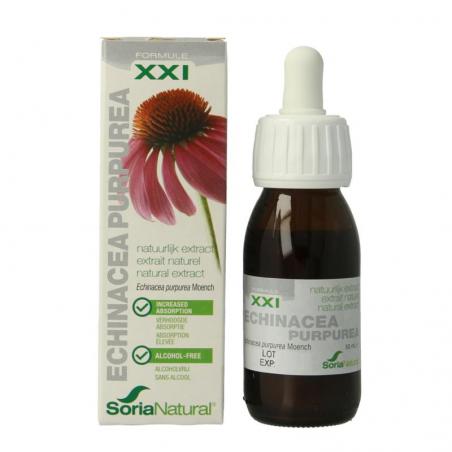 Echinacea purpurea XXIFytotherapie8422947284787