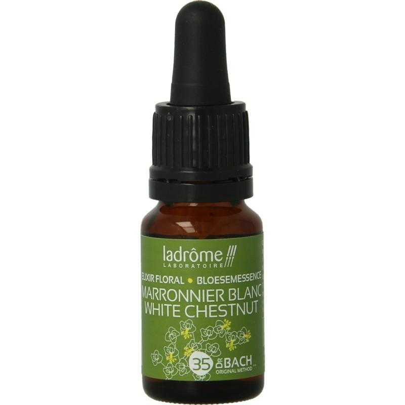 White chestnut / paardekastanje bioFytotherapie3486330010020