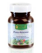 Prana rasayana/MA 1405Ayurveda8713544003643