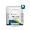 Mycelent betaglucaanconcentraat 250mgOverig gezondheidsproducten8715216270704