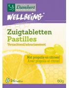 Wellbeing zuigtabletten verzachtendOverig gezondheidsproducten5412158058263