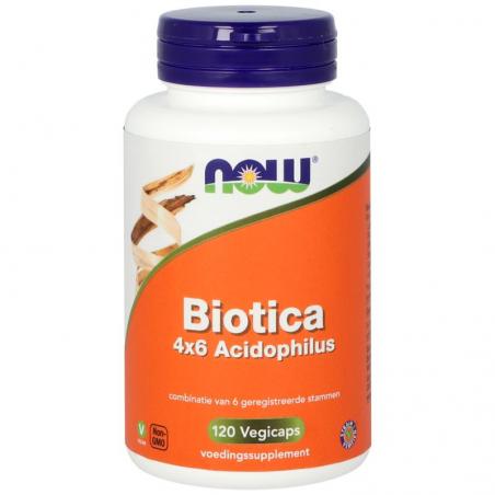 Biotica 4 x 6 acidophilusOverig gezondheidsproducten733739160119