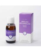 Angelica angelica archFytotherapie8717306610582