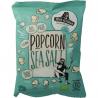 Popcorn sea salt bioVoeding8721082004329