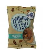 Mixed nuts sea saltOverig versnapering8719324640299