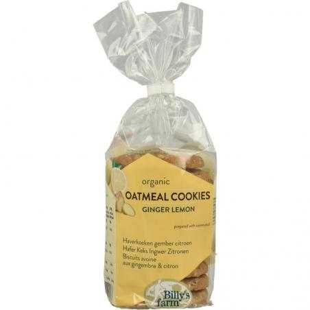 Haverkoeken gember-citroen bioKoek8711753012296