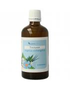 Angelica archangelica tinctuurOverig gezondheidsproducten8711224009091