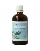 Betula pubescens tincturenOverig gezondheidsproducten8711224009251