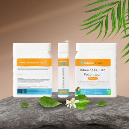 Supplements 48 Vitamine B6-B12-foliumzuurOverig gezondheidsproducten8711224008872