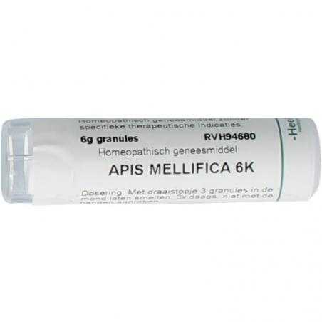 Apis Mellifica 6KArtikel 4 enkelvoudig8717473134423
