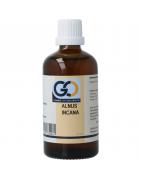 Alnus incana bioFytotherapie8721302330481